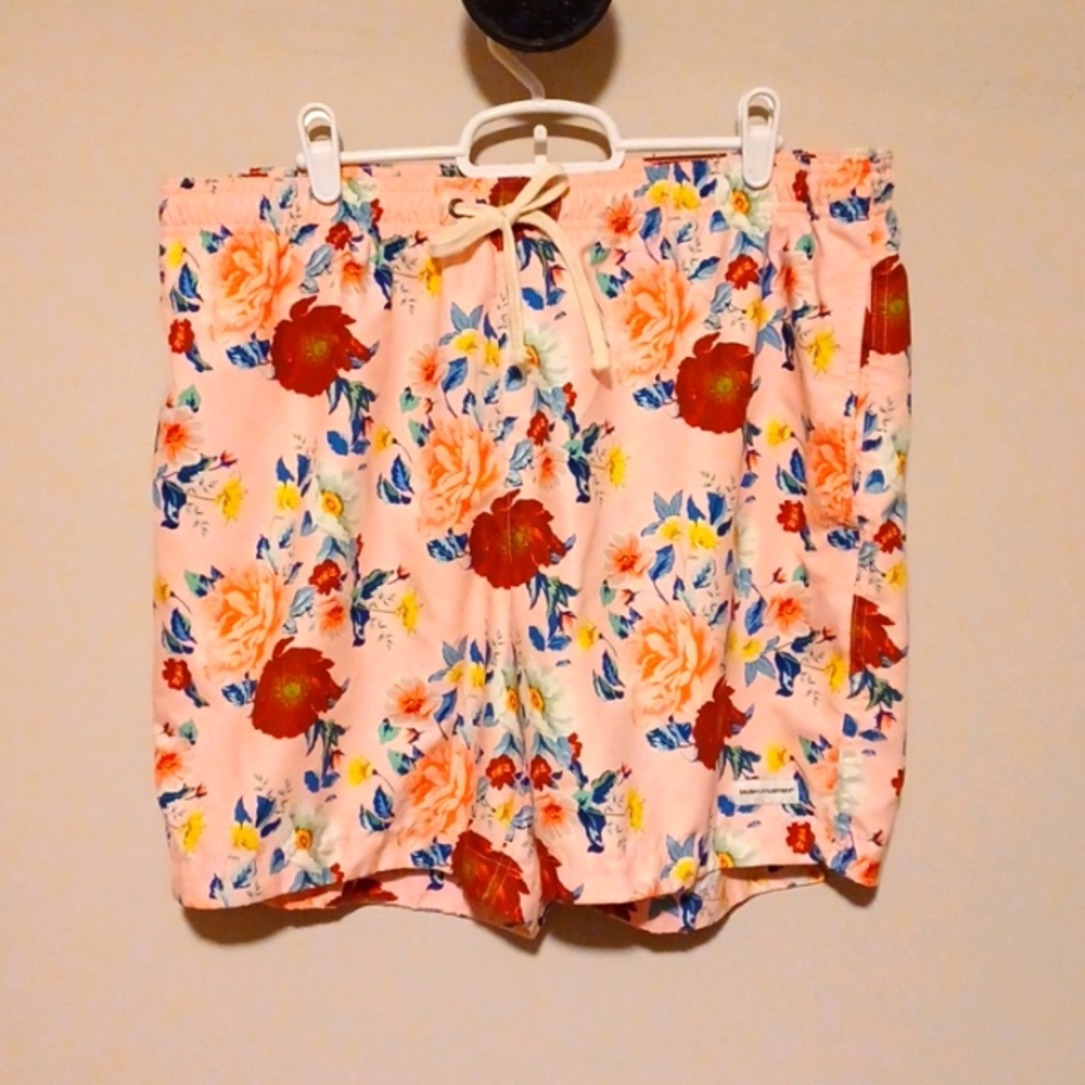 Pacsun Board Shorts